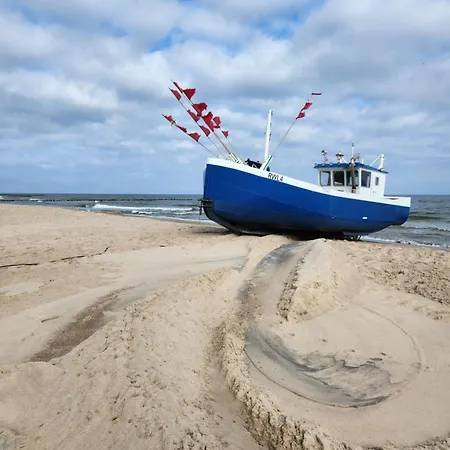 Rewalove - Typu * 里沃