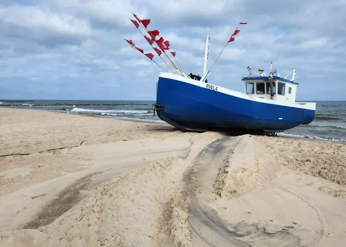 Rewalove - Typu * Rewal